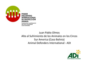 Juan Pablo Olmos
Alto al Sufrimiento de los Animales en los Circos
            Sur America (Caso Bolivia)
      Animal Defenders International - ADI
 