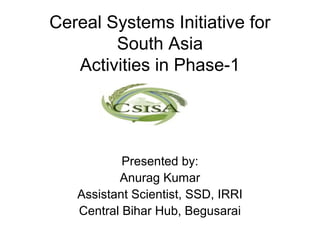 Cereal Systems Initiative for
        South Asia
   Activities in Phase-1




           Presented by:
          Anurag Kumar
   Assistant Scientist, SSD, IRRI
   Central Bihar Hub, Begusarai
 