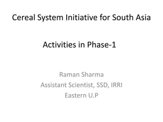Cereal System Initiative for South Asia


        Activities in Phase-1


              Raman Sharma
       Assistant Scientist, SSD, IRRI
               Eastern U.P
 