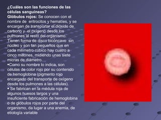 ¿Cuáles son las funciones de las células sanguíneas? Glóbulos rojos:  Se conocen con el nombre de  eritrocitos y hematíes, y se encargan de transportar el dióxido de carbono y  el oxígeno desde los pulmones al resto del organismo. Tienen forma de disco bicóncavo  sin núcleo y son tan pequeños que en cada milímetro cúbico hay cuatro a cinco millones, midiendo unas siete micras de diámetro.  Como su nombre lo indica, son células de color rojo por su contenido de hemoglobina (pigmento rojo encargado del transporte de oxígeno desde los pulmones a las células). Se fabrican en la médula roja de algunos huesos largos y una insuficiente fabricación de hemoglobina o de glóbulos rojos por parte del organismo, da lugar a una anemia, de etiología variable   