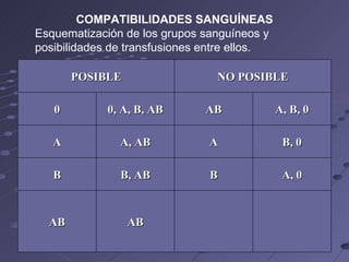 COMPATIBILIDADES SANGUÍNEAS Esquematización de los grupos sanguíneos y posibilidades de transfusiones entre ellos. POSIBLE NO POSIBLE 0 0, A, B, AB AB A, B, 0 A A, AB A B, 0 B B, AB B A, 0 AB AB 
