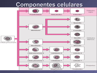 Componentes celulares   