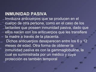 INMUNIDAD PASIVA Involucra anticuerpos que se producen en el cuerpo de otra persona, como en el caso de los lactantes que poseen inmunidad pasiva, dado que ellos nacen con los anticuerpos que les transfiere la madre a través de la placenta. Dichos anticuerpos desaparecen entre los 6 y 12 meses de edad. Otra forma de obtener la inmunidad pasiva es con la gammaglobulina, la cual es suministrada por un médico y cuya protección es también temporal 