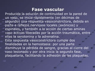 Fase vascular Producida la solución de continuidad en la pared de un vaso, se inicia rápidamente (en décimas de segundo) una respuesta vasoconstrictora, debida en parte a reflejos nerviosos locales (axónicos) y espinales, y también a la acción de ciertas aminas vaso activas liberadas por la acción traumática, entre ellas la serotonina y la adrenalina. Esta respuesta vasoconstrictora cumple dos finalidades en la hemostasia: por una parte disminuye la pérdida de sangre, gracias al cierre del vaso lesionado y por otra inicia la segunda fase, plaquetaria, facilitando la adhesión de las plaquetas.  