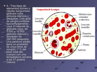 4.- Tres tipos de elementos formes o células sanguíneas: glóbulos rojos, glóbulos blancos y plaquetas. Una gota de sangre contiene aproximadamente unos 5 millones de glóbulos rojos, de 5.000 a 10.000 glóbulos blancos y alrededor de 250.000 plaquetas. Una persona adulta tiene un promedio de cinco litros de sangre,( 7 % del peso total del cuerpo) con una temperatura cercana a los 37 grados Celcius 