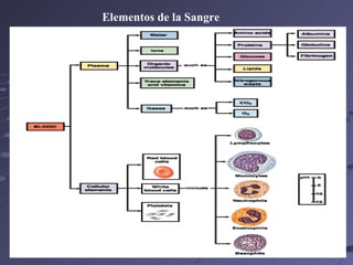Elementos de la Sangre 46% 54% granulocitos 92% 