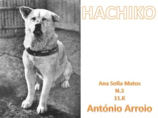 HACHIKO Ana Sofia Matos N.3 11.K António Arroio 