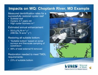 Impacts on WQ: Choptank River, MD Example
Measured denitrification rates for a
successfully restored oyster reef
• Subtidal reef
• Oysters 3-7 years old
• High oyster biomass m-2

Estimated annual enhancement:
• 55.6 g N2-N m-2 y-1
(496 lbs. N acre-1 y-1)

Restoring all suitable bottom:
• “Suitable bottom” based on sonar
surveys and fine-scale sampling of
substratum
• 48% of total external N removed

Restoration needed to meet TMDL
requirements:
• 23% of suitable bottom

 