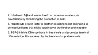 4. Interleukin 1-β and interleukin-6 can increase keratinocyte
proliferation by stimulating the production of KGF.
5. Hepatocyte growth factor is another paracrine factor originating in
connective tissue that elicits keratinocyte proliferation and migration
6. TGF-β inhibits DNA synthesis in basal cells and promotes terminal
differentiation. It is secreted by the basal and suprabasal cells.
21
 