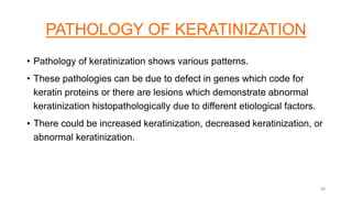 PATHOLOGY OF KERATINIZATION
• Pathology of keratinization shows various patterns.
• These pathologies can be due to defect in genes which code for
keratin proteins or there are lesions which demonstrate abnormal
keratinization histopathologically due to different etiological factors.
• There could be increased keratinization, decreased keratinization, or
abnormal keratinization.
29
 