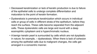 • Decreased keratinization or lack of keratin production is due to failure
of the epithelial cells to undergo complete differentiation and
maturation to the point of keratin formation.
• Dyskeratosis is premature keratinization which occurs in individual
cells or group of cells in different strata of the epithelium, before they
reach the surface. These cells become separated from the adjacent
cells. These dyskeratotic cells are large and round with a deep
eosinophilic cytoplasm and a hyperchromatic nucleus.
• A benign keratin pearl is surrounded by cells which are not dysplastic
in nature; for example, – dyskeratosis. When there is lack of cohesion
among the epithelial cells due to malignant changes, the cells get
arranged in a concentric manner.
31
 