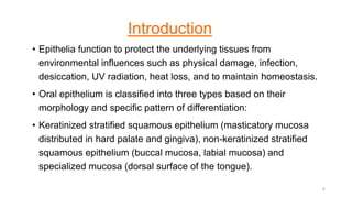 Introduction
• Epithelia function to protect the underlying tissues from
environmental influences such as physical damage, infection,
desiccation, UV radiation, heat loss, and to maintain homeostasis.
• Oral epithelium is classified into three types based on their
morphology and specific pattern of differentiation:
• Keratinized stratified squamous epithelium (masticatory mucosa
distributed in hard palate and gingiva), non-keratinized stratified
squamous epithelium (buccal mucosa, labial mucosa) and
specialized mucosa (dorsal surface of the tongue).
4
 