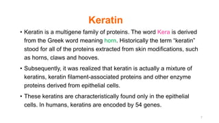 Keratin
• Keratin is a multigene family of proteins. The word Kera is derived
from the Greek word meaning horn. Historically the term “keratin”
stood for all of the proteins extracted from skin modifications, such
as horns, claws and hooves.
• Subsequently, it was realized that keratin is actually a mixture of
keratins, keratin filament-associated proteins and other enzyme
proteins derived from epithelial cells.
• These keratins are characteristically found only in the epithelial
cells. In humans, keratins are encoded by 54 genes.
7
 