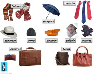 corbatas

bufandas

paraguas

sombrero
carteras

gorro

cinturón

pañuelo
bolsos

guantes

 
