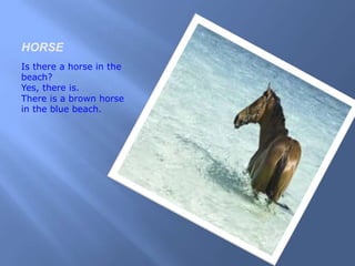 HORSE
Is there a horse in the
beach?
Yes, there is.
There is a brown horse
in the blue beach.
 
