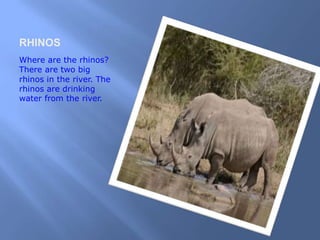 RHINOS
Where are the rhinos?
There are two big
rhinos in the river. The
rhinos are drinking
water from the river.
 