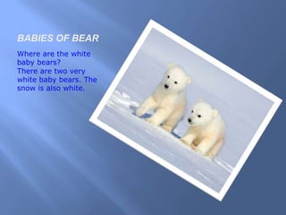BABIES OF BEAR
Where are the white
baby bears?
There are two very
white baby bears. The
snow is also white.
 