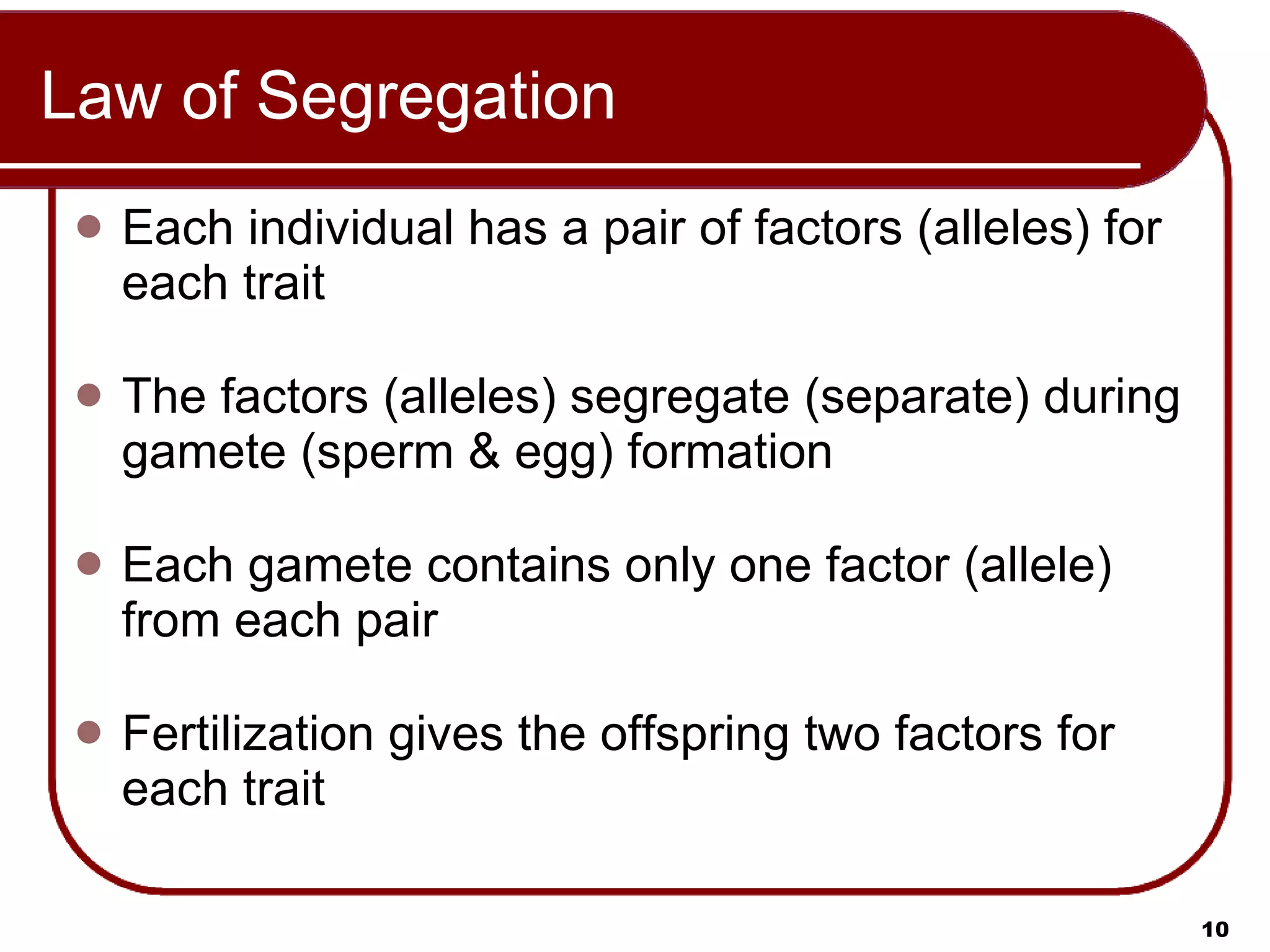 Law of Segregation Each individual has a pair of factors (alleles) for each trait The factors (alleles) segregate (separate) during gamete (sperm & egg) formation Each gamete contains only one factor (allele) from each pair Fertilization gives the offspring two factors for each trait 