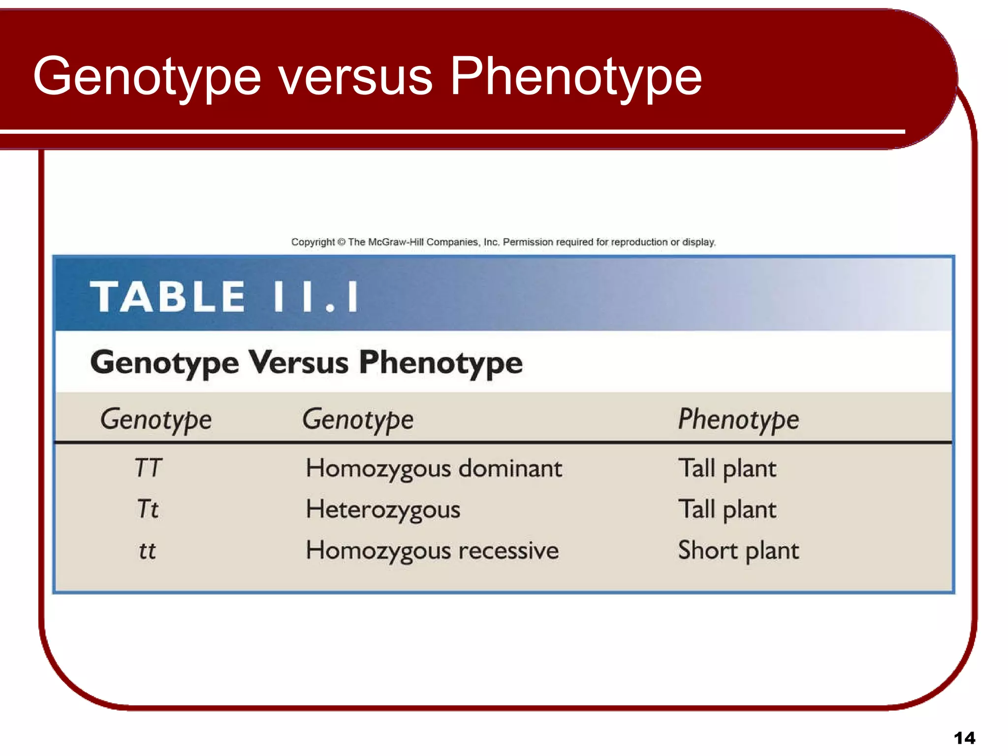 Genotype versus Phenotype 