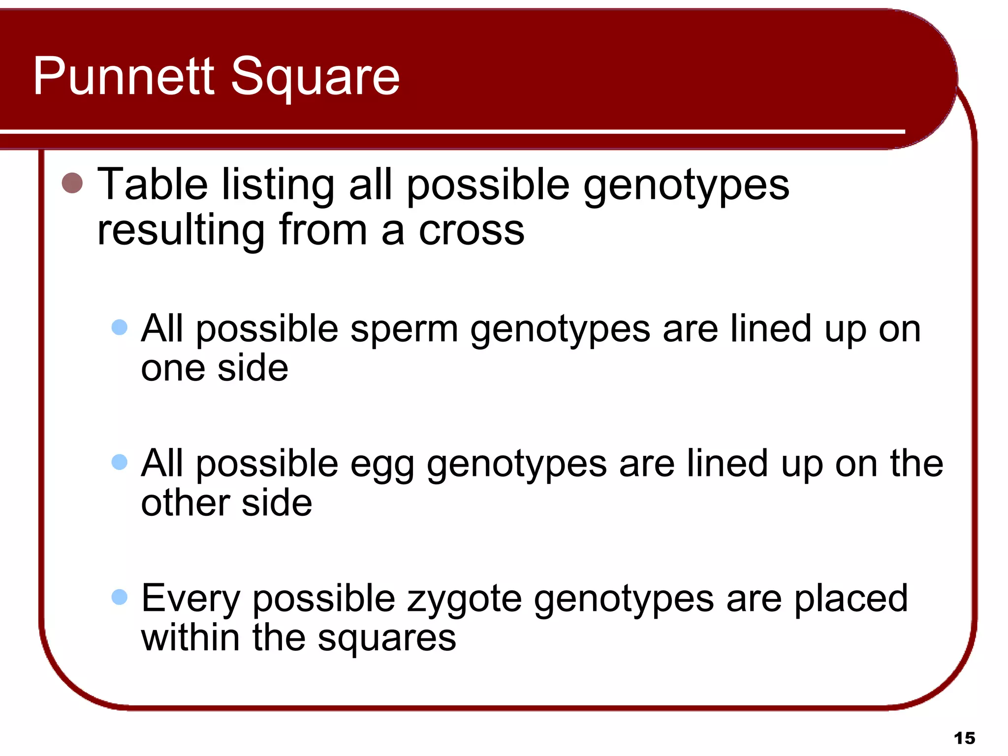 Punnett Square Table listing all possible genotypes resulting from a cross All possible sperm genotypes are lined up on one side All possible egg genotypes are lined up on the other side Every possible zygote genotypes are placed within the squares 