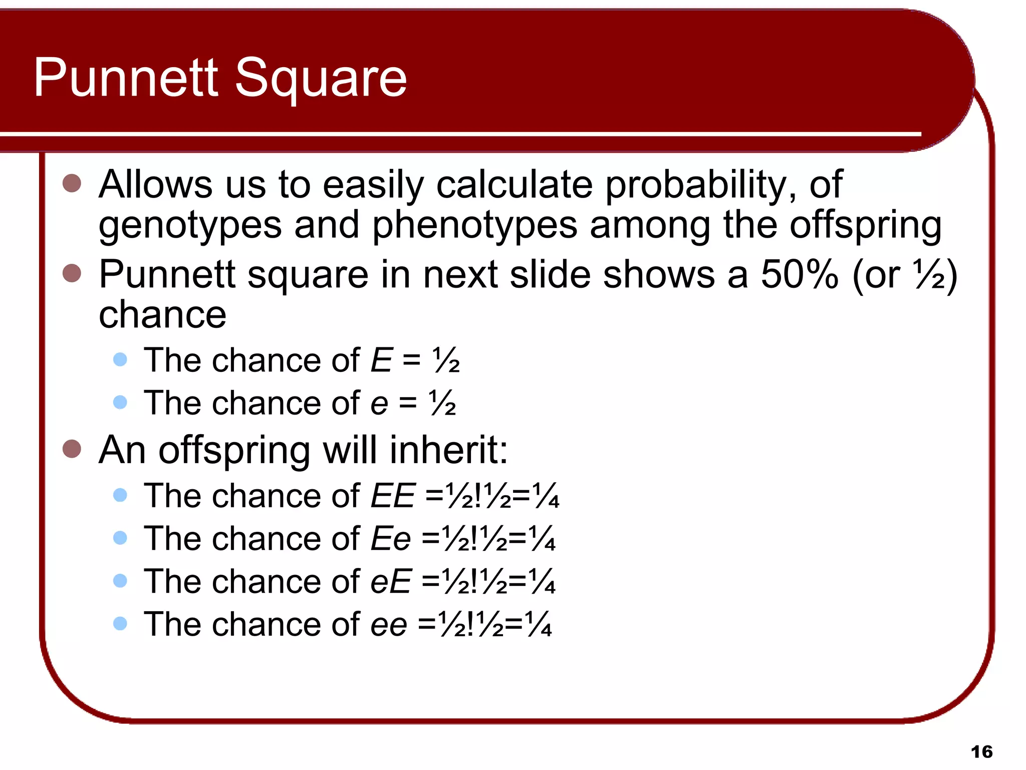 Punnett Square Allows us to easily calculate probability, of genotypes and phenotypes among the offspring Punnett square in next slide shows a 50% (or ½) chance  The chance of  E  = ½ The chance of  e  = ½ An offspring will inherit: The chance of  EE  =½!½=¼  The chance of  Ee  =½!½=¼  The chance of  eE  =½!½=¼  The chance of  ee  =½!½=¼ 