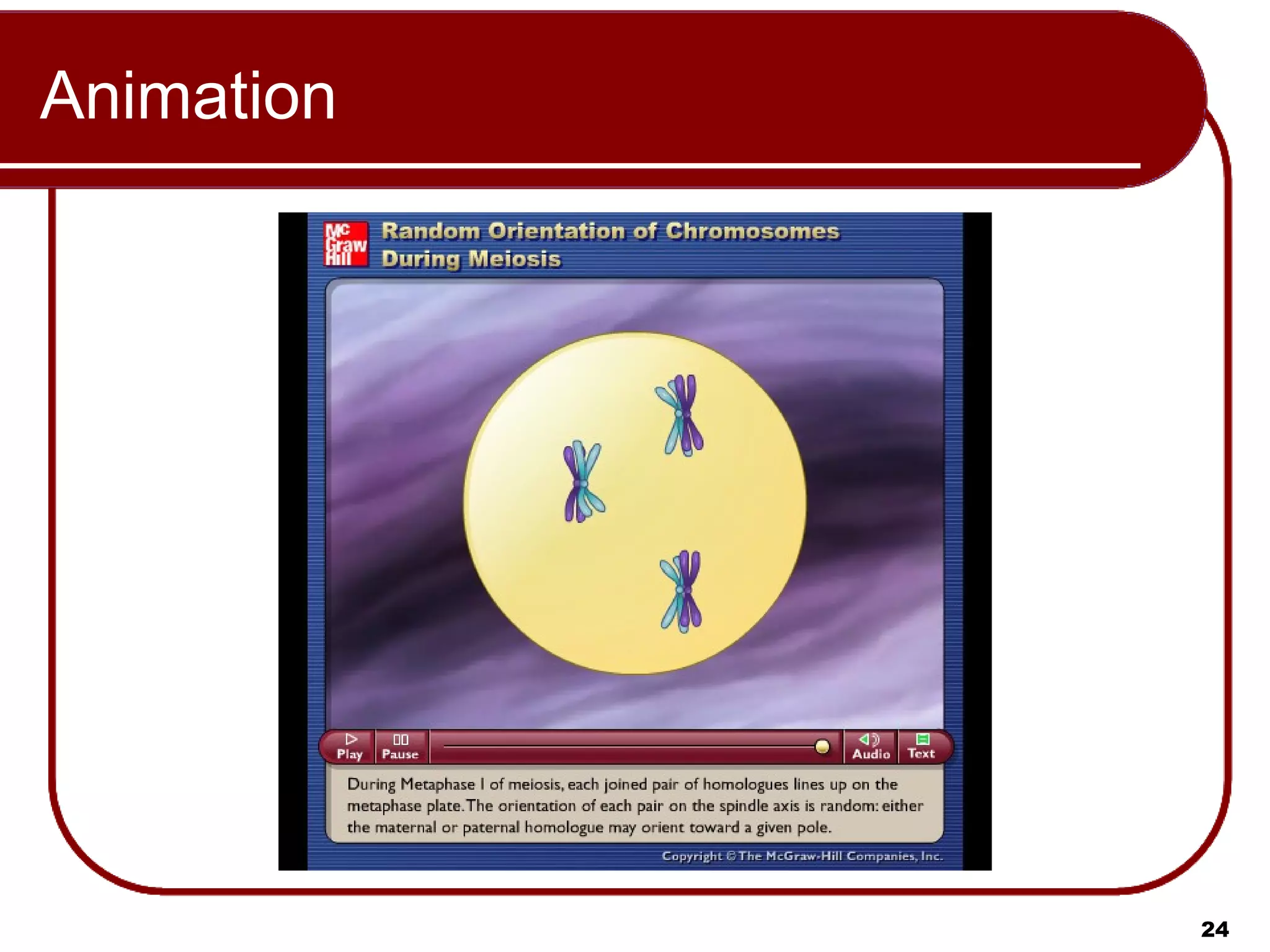 Animation Please note that due to differing operating systems, some animations will not appear until the presentation is viewed in Presentation Mode (Slide Show view). You may see blank slides in the “Normal” or “Slide Sorter” views. All animations will appear after viewing in Presentation Mode and playing each animation. Most animations will require the latest version of the Flash Player, which is available at http://get.adobe.com/flashplayer. 