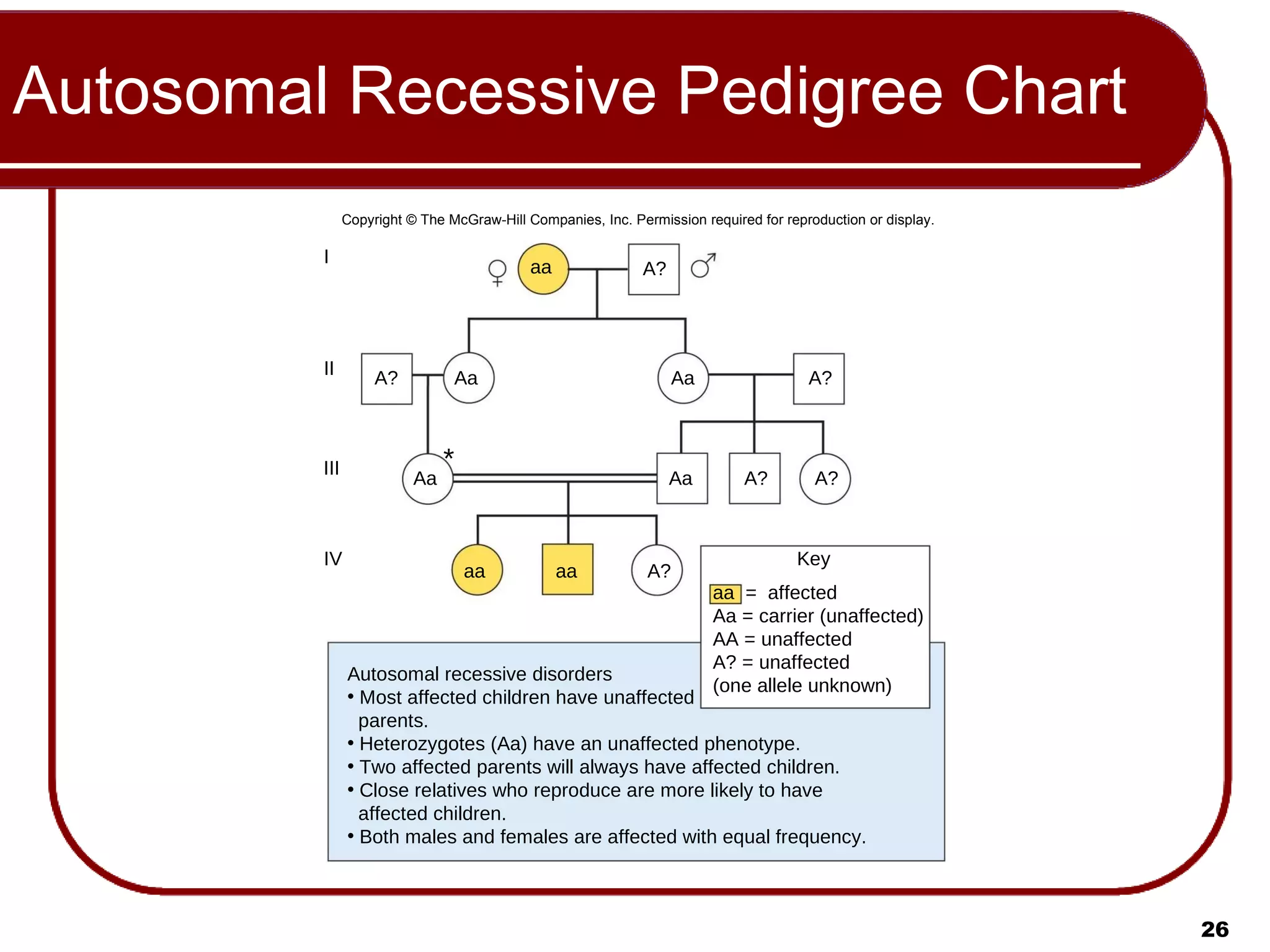 Autosomal Recessive Pedigree Chart Copyright © The McGraw-Hill Companies, Inc. Permission required for reproduction or display. Autosomal recessive disorders Most affected children have unaffected parents. Heterozygotes (Aa) have an unaffected phenotype. Two affected parents will always have affected children. Close relatives who reproduce are more likely to have affected children. Both males and females are affected with equal frequency. aa aa Aa Aa Aa A? A? A? Aa * aa A? A? A? Key aa  =  affected Aa = carrier (unaffected) AA = unaffected A? = unaffected (one allele unknown) I II III IV 