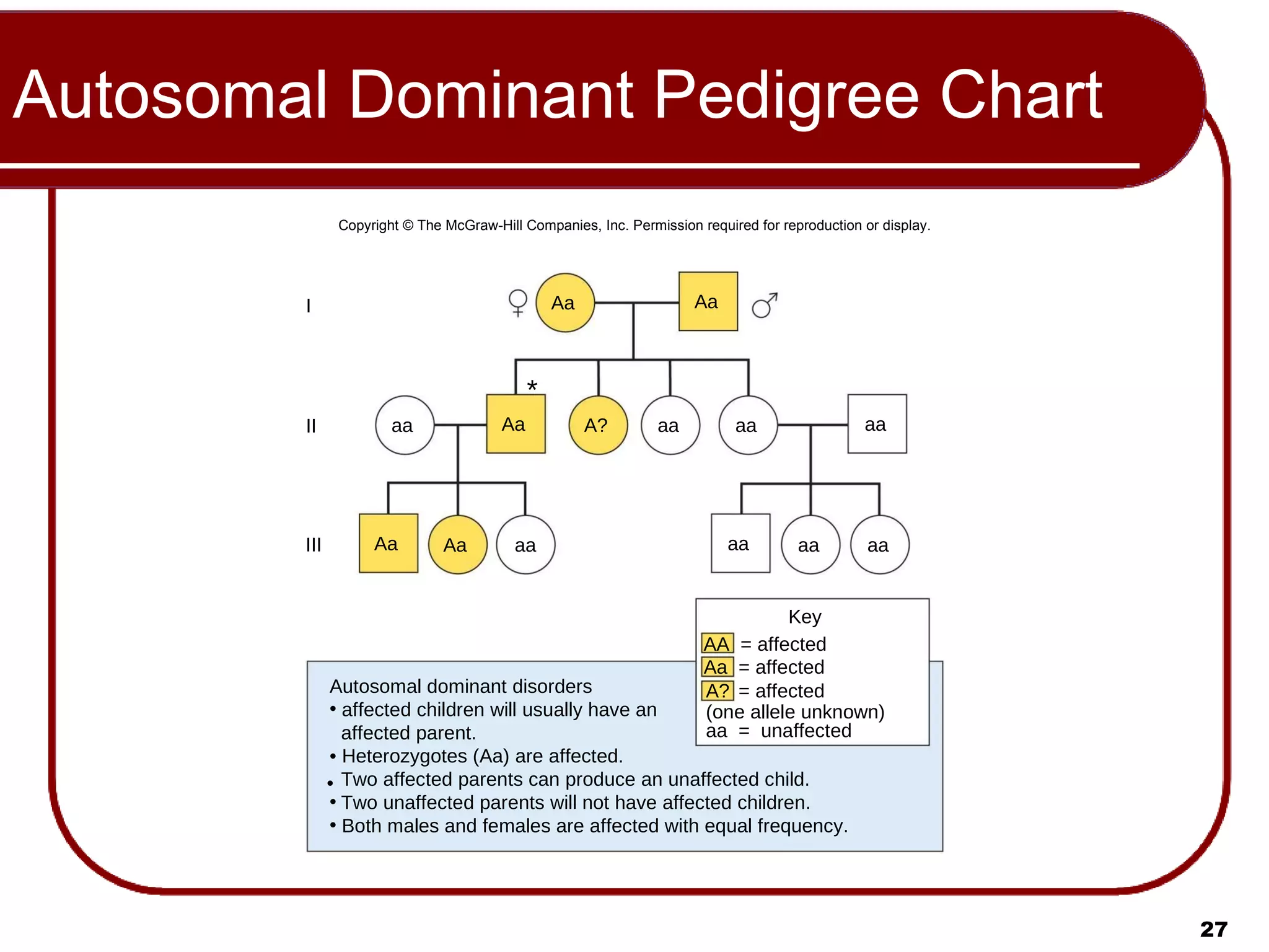 Autosomal Dominant Pedigree Chart Aa aa aa aa aa aa aa aa Aa aa Aa Aa A? Aa Autosomal dominant disorders affected children will usually have an affected parent. •  Heterozygotes (Aa) are affected. Two affected parents can produce an unaffected child. Two unaffected parents will not have affected children. Both males and females are affected with equal frequency. * I II III • Key AA  = affected Aa  = affected A?   = affected (one allele unknown) aa  =  unaffected Copyright © The McGraw-Hill Companies, Inc. Permission required for reproduction or display. 