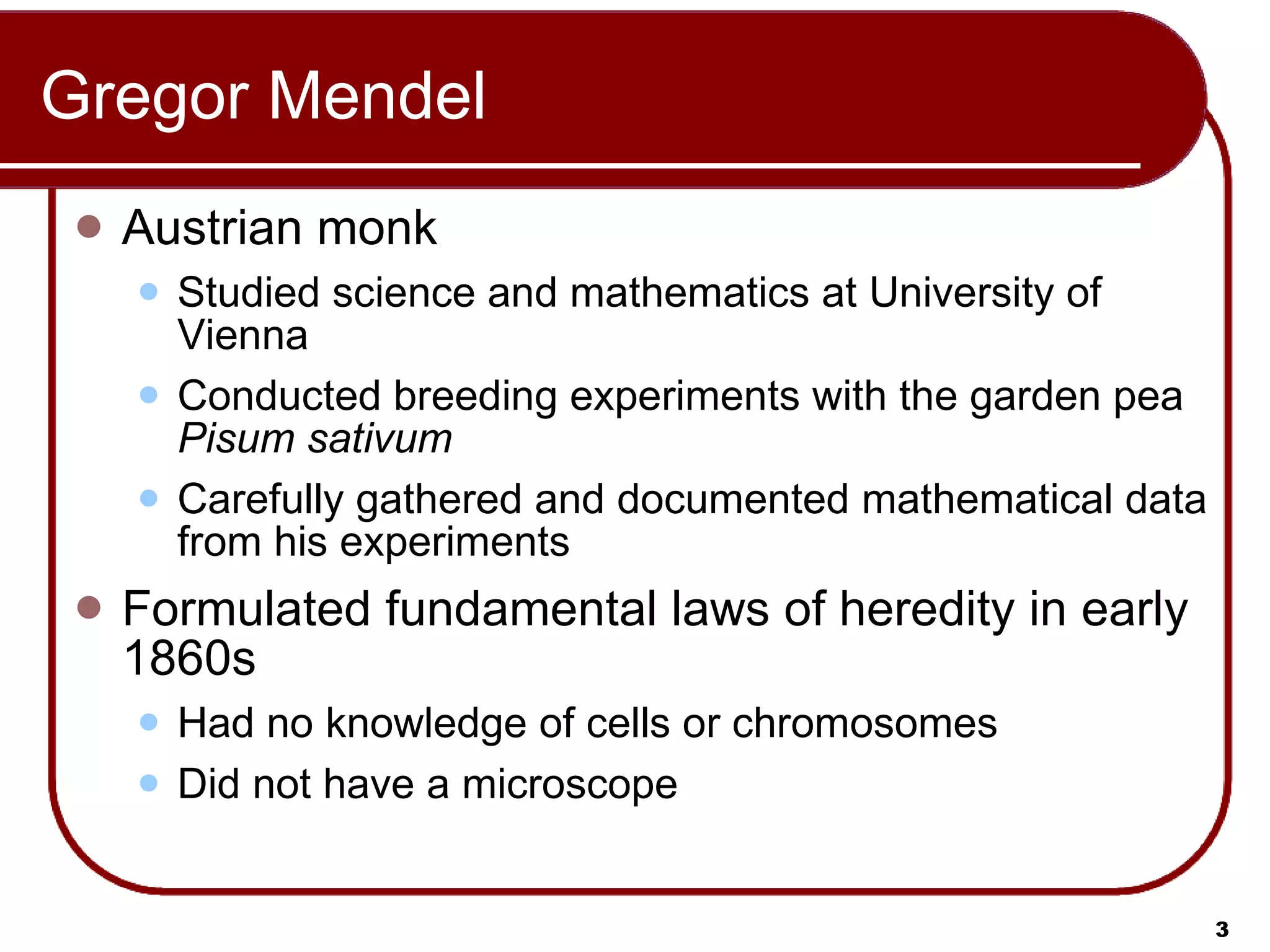 Gregor Mendel Austrian monk Studied science and mathematics at University of Vienna Conducted breeding experiments with the garden pea  Pisum sativum Carefully gathered and documented mathematical data from his experiments Formulated fundamental laws of heredity in early 1860s Had no knowledge of cells or chromosomes Did not have a microscope 