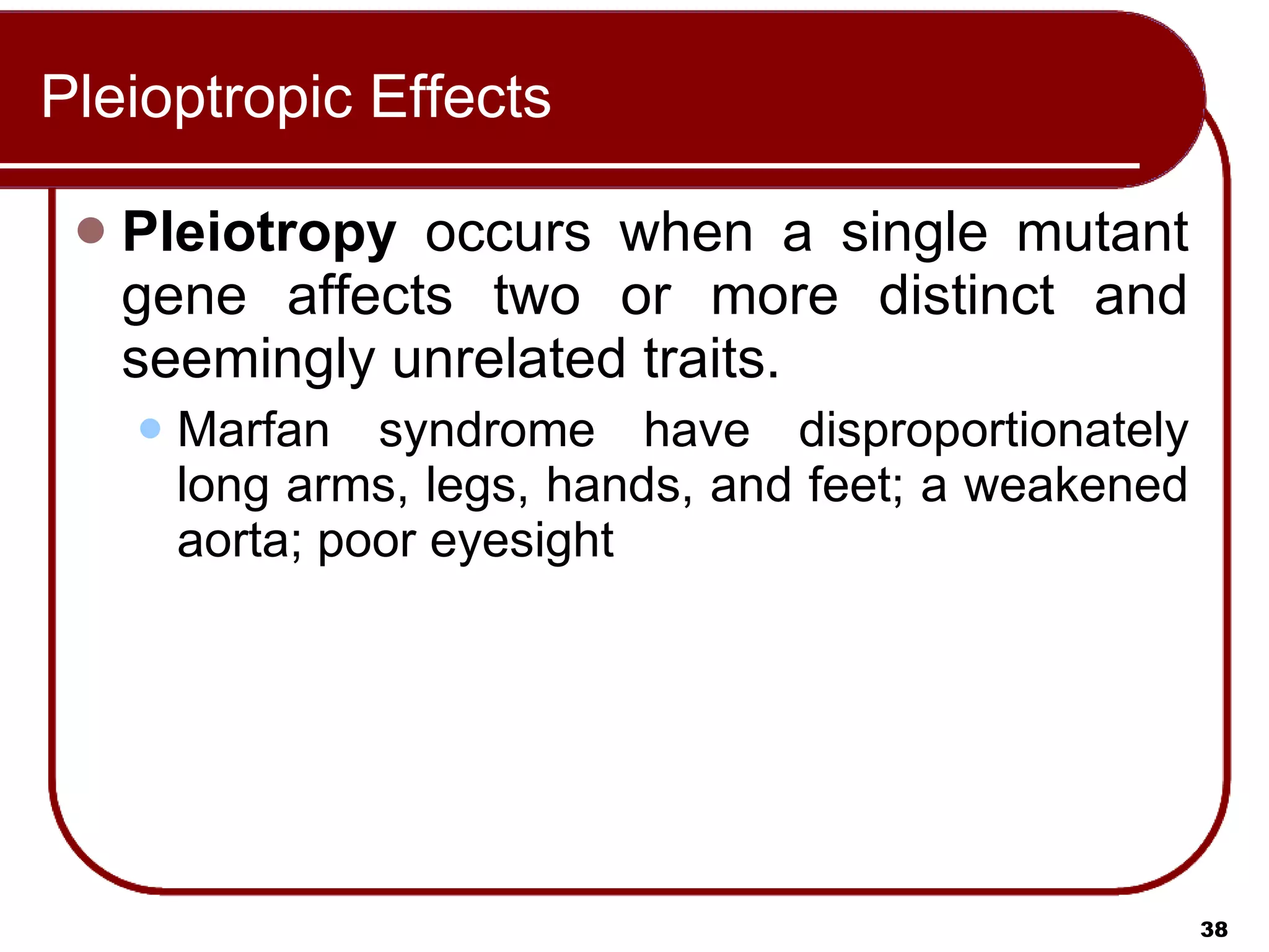 Pleioptropic Effects Pleiotropy  occurs when a single mutant gene affects two or more distinct and seemingly unrelated traits.  Marfan syndrome have disproportionately long arms, legs, hands, and feet; a weakened aorta; poor eyesight  