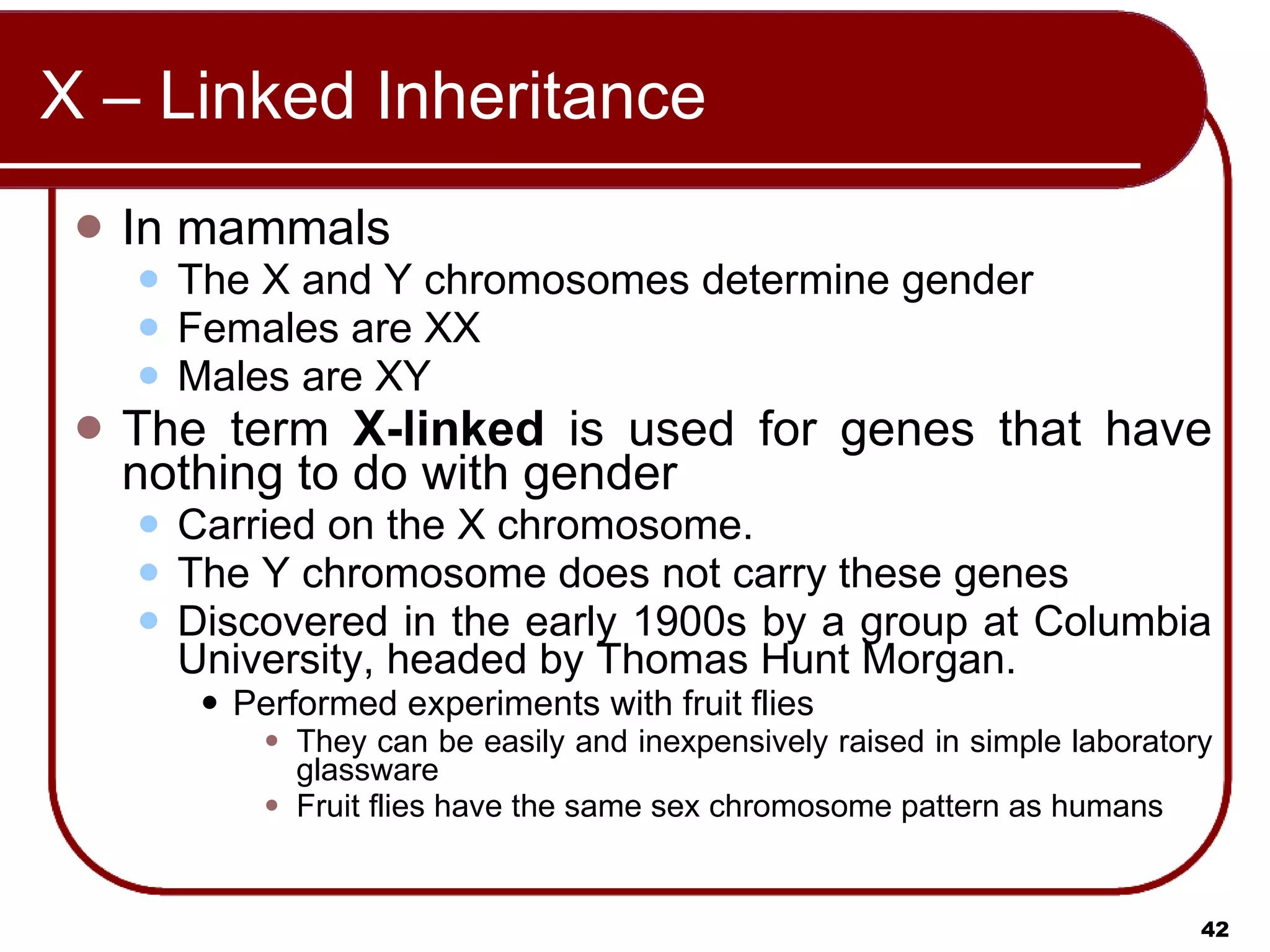 X – Linked Inheritance In mammals The X and Y chromosomes determine gender Females are XX  Males are XY  The term  X-linked  is used for genes that have nothing to do with gender Carried on the X chromosome.  The Y chromosome does not carry these genes  Discovered in the early 1900s by a group at Columbia University, headed by Thomas Hunt Morgan.  Performed experiments with fruit flies They can be easily and inexpensively raised in simple laboratory glassware Fruit flies have the same sex chromosome pattern as humans 