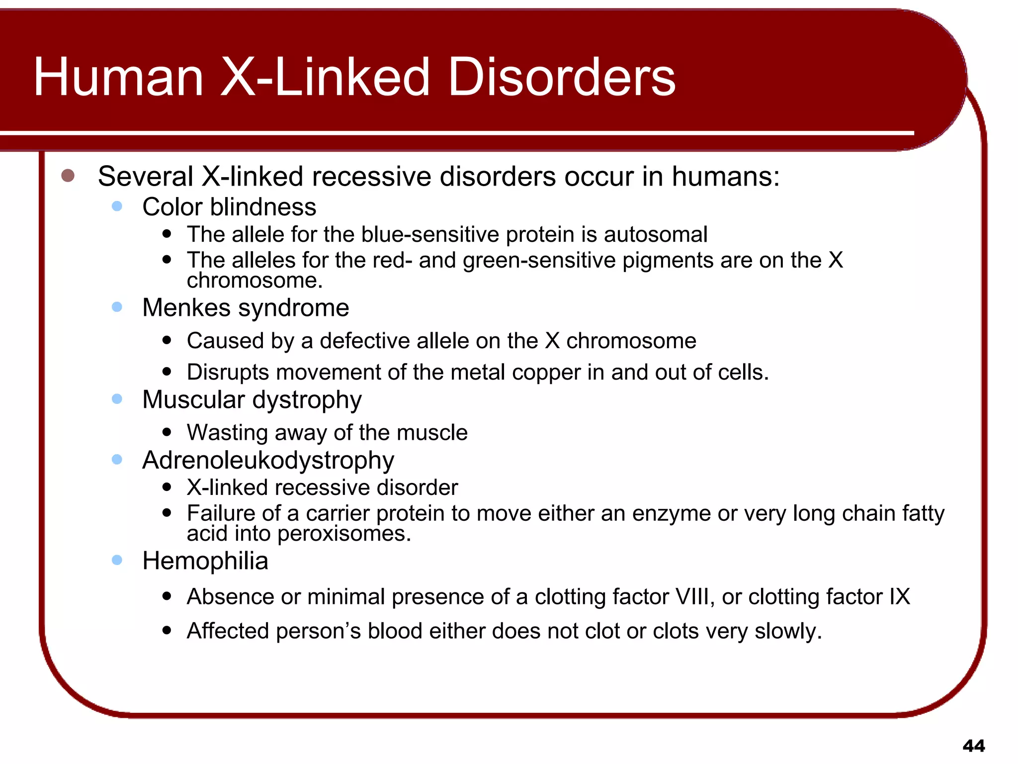Human X-Linked Disorders Several X-linked recessive disorders occur in humans: Color blindness The allele for the blue-sensitive protein is autosomal The alleles for the red- and green-sensitive pigments are on the X chromosome.  Menkes syndrome Caused by a defective allele on the X chromosome  Disrupts movement of the metal copper in and out of cells.  Muscular dystrophy Wasting away of the muscle Adrenoleukodystrophy X-linked recessive disorder Failure of a carrier protein to move either an enzyme or very long chain fatty acid into peroxisomes.  Hemophilia Absence or minimal presence of a clotting factor VIII, or clotting factor IX  Affected person’s blood either does not clot or clots very slowly.  