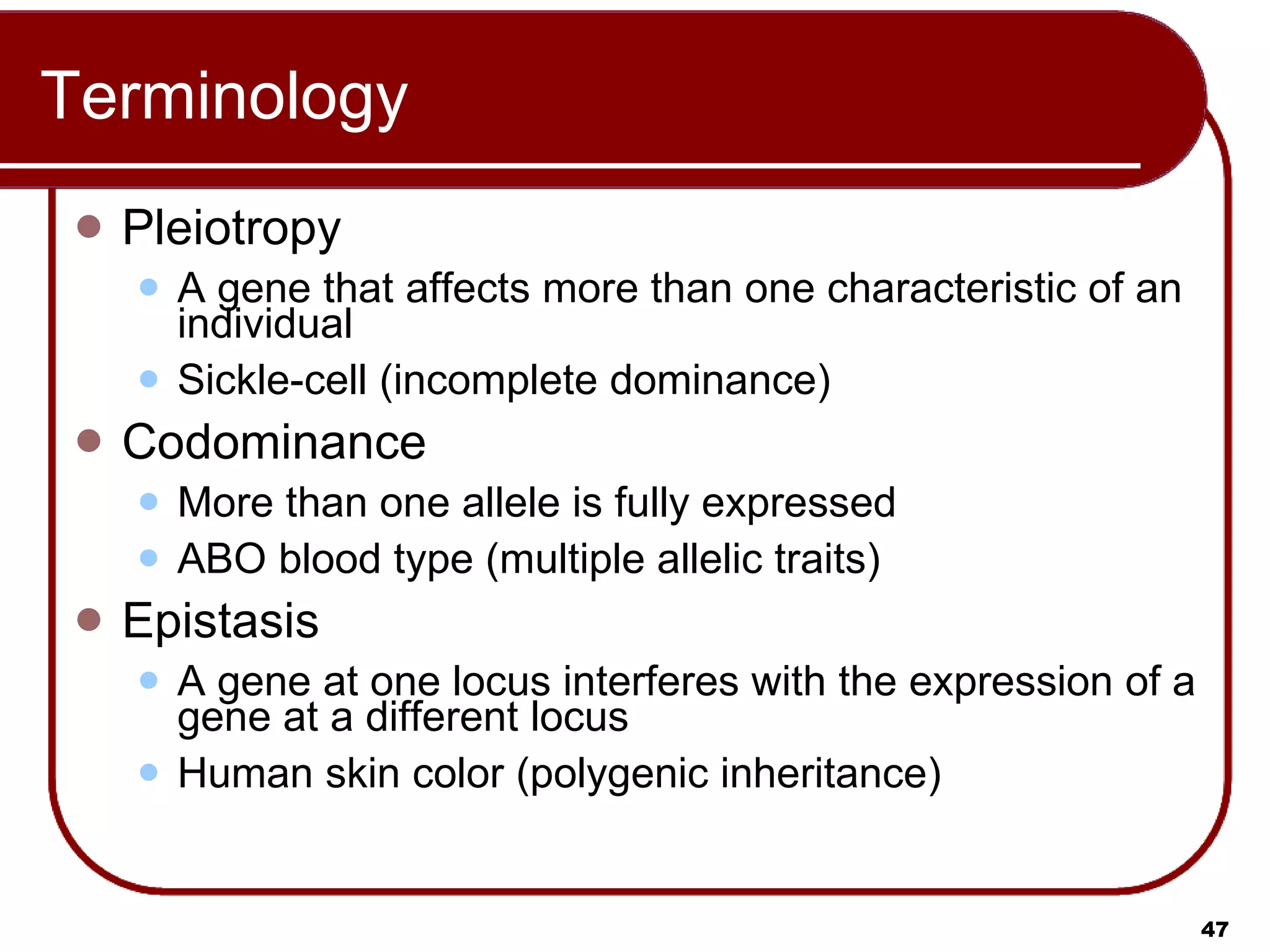 Terminology Pleiotropy A gene that affects more than one characteristic of an individual Sickle-cell (incomplete dominance) Codominance More than one allele is fully expressed ABO blood type (multiple allelic traits) Epistasis A gene at one locus interferes with the expression of a gene at a different locus Human skin color (polygenic inheritance) 