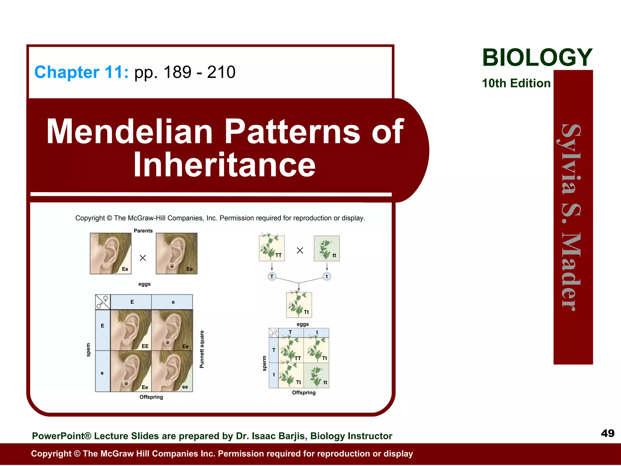 Copyright © The McGraw-Hill Companies, Inc. Permission required for reproduction or display. Parents eggs Ee Ee spem Punnett square Offspring E e E e Ee Ee EE ee TT tt t T Tt eggs sperm Offspring T t T t TT Tt Tt tt 