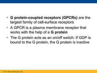 • G protein-coupled receptors (GPCRs) are the
largest family of cell-surface receptors
• A GPCR is a plasma membrane receptor that
works with the help of a G protein
• The G protein acts as an on/off switch: If GDP is
bound to the G protein, the G protein is inactive
© 2011 Pearson Education, Inc.
 