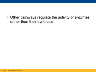 • Other pathways regulate the activity of enzymes
rather than their synthesis
© 2011 Pearson Education, Inc.
 