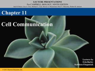 LECTURE PRESENTATIONS
For CAMPBELL BIOLOGY, NINTH EDITION
Jane B. Reece, Lisa A. Urry, Michael L. Cain, Steven A. Wasserman, Peter V. Minorsky, Robert B. Jackson
© 2011 Pearson Education, Inc.
Lectures by
Erin Barley
Kathleen Fitzpatrick
Cell Communication
Chapter 11
 