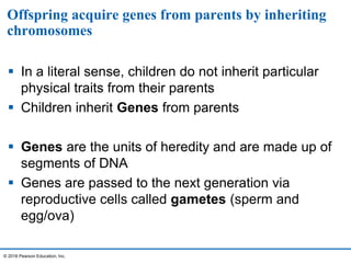 Offspring acquire genes from parents by inheriting
chromosomes
 In a literal sense, children do not inherit particular
physical traits from their parents
 Children inherit Genes from parents
 Genes are the units of heredity and are made up of
segments of DNA
 Genes are passed to the next generation via
reproductive cells called gametes (sperm and
egg/ova)
© 2016 Pearson Education, Inc.
 