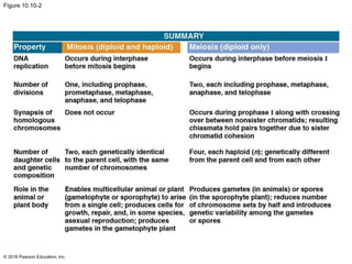 Figure 10.10-2
© 2016 Pearson Education, Inc.
 
