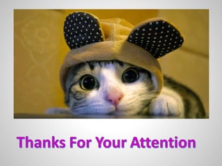 11 le thithuydung.mul1