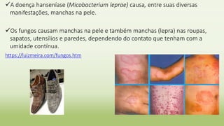 A doença hanseníase (Micobacterium leprae) causa, entre suas diversas
manifestações, manchas na pele.
Os fungos causam manchas na pele e também manchas (lepra) nas roupas,
sapatos, utensílios e paredes, dependendo do contato que tenham com a
umidade contínua.
https://luizmeira.com/fungos.htm
 