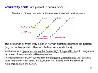 Trans - fatty acids   are present in certain foods. The presence of  trans -fatty acids in human nutrition seems to be harmful (e.g., an unfavourable effect on cholesterol metabolism).  Most arise as a  by-product during the  "hardening" of vegetable oils  into margarines by means of metal-catalyzed hydrogenation. An additional contribution comes from the  ingestion of ruminant fat  that contains trans -fatty acids (beef tallow 3-7 %, butter 3 %) arising from the action of microorganisms in the rumen.   The shape of  trans -unsaturated acids resembles that of saturated fatty acids:  cis- unsaturated trans- unsaturated saturated FA 