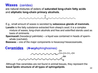 E.g., small amount of waxes is secreted by  sebaceous glands of mammals .  Lanolin  is the fatty substance extracted from sheep's wool; it is a complex mixture of waxes, long-chain alcohols and free and esterified sterols used as basis of ointments Spermaceti  (hexadecyl palmitate) – a liquid wax contained in heads of sperm-whale (cachalot).  Beeswax  – one of the major components is hexacosyl hexacosanoate. are natural mixtures of esters of  saturated long-chain fatty acids and  aliphatic long-chain primary alcohols . Waxes  (cerides) Cer amides   ( N -acyl sphinghosines) Although free ceramides are not found in animal tissues, they represent the basal lipidic structure of all types of sphingolipids . 