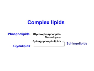 Complex lipids Phospholipids  Glycerophospholipids   Plasmalogens   Sphingophospholipids Glycolipids Sphingolipids 