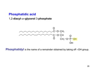 Ph os ph atidyl   is the name of a remainder obtained by taking off –OH group. 1,2- diacyl - sn - glycerol  3- phosphate Phosphatidic acid 