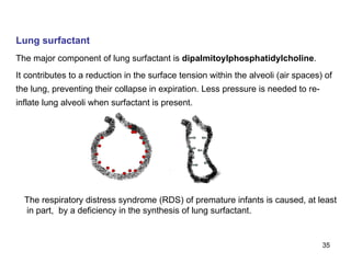 Lung surfactant The major component of lung surfactant is  dipalmitoylphosphatidylcholine . It contributes to a reduction in the surface tension within the alveoli (air spaces) of the lung, preventing their collapse in expiration. Less pressure is needed to re-inflate lung alveoli when surfactant is present. The respiratory distress syndrome (RDS) of premature infants is caused, at least in part,  by a deficiency in the synthesis of lung surfactant. 