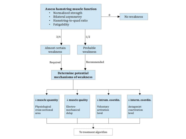 Nicola A. Maffiuletti - Hamstring Injuries | PPT