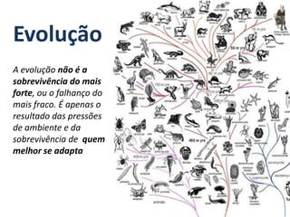 Evolução
A evolução não é a
sobrevivência do mais
forte, ou o falhanço do
mais fraco. É apenas o
resultado das pressões
de ambiente e da
sobrevivência de quem
melhor se adapta
 