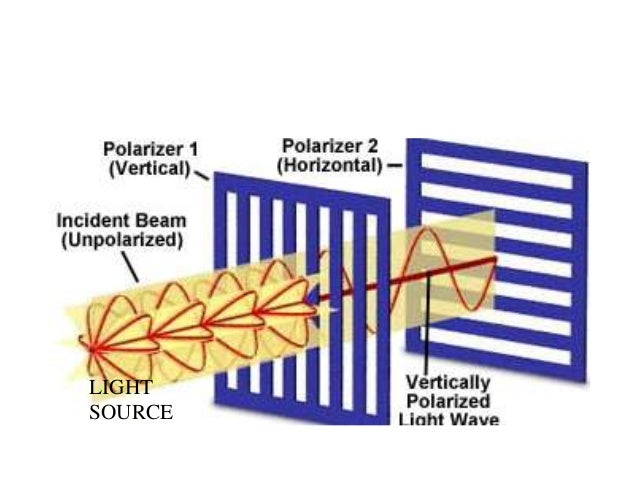 11membranes4