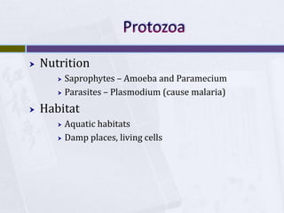 ProtozoaNutritionSaprophytes – Amoeba and ParameciumParasites – Plasmodium (cause malaria)HabitatAquatic habitatsDamp places, living cells